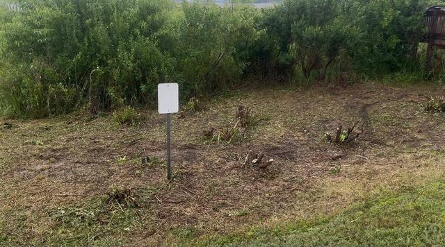 A fence line cleared and the ground prepped for a bed