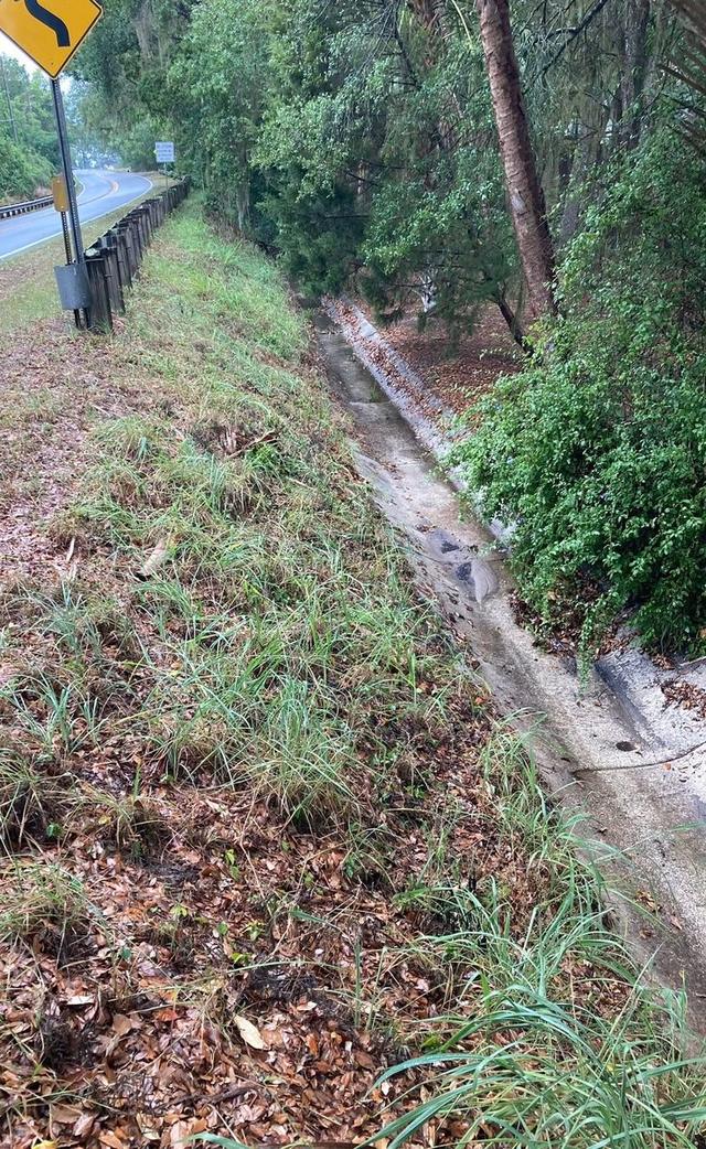 Overgrowth cleared off a fence line