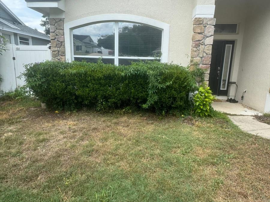 Beds and plantings across the front of a home