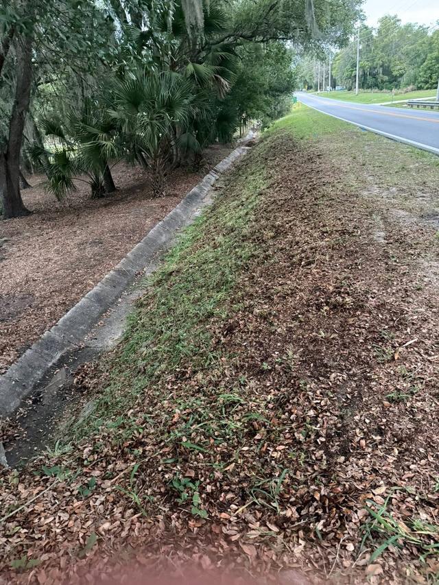 New plants set in and mulched along a fence