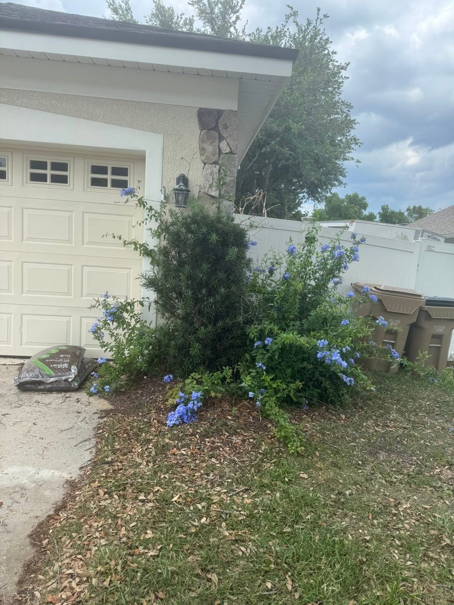 Driveway-side mulch bed — Neuman's Property Services, Central Florida
