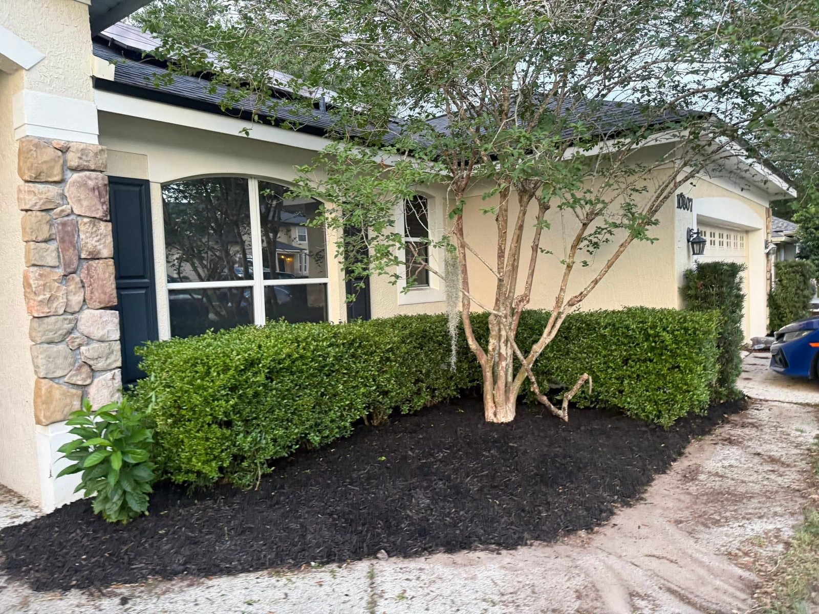 Shrub trimming & bed refresh — Neuman's Property Services, Central Florida