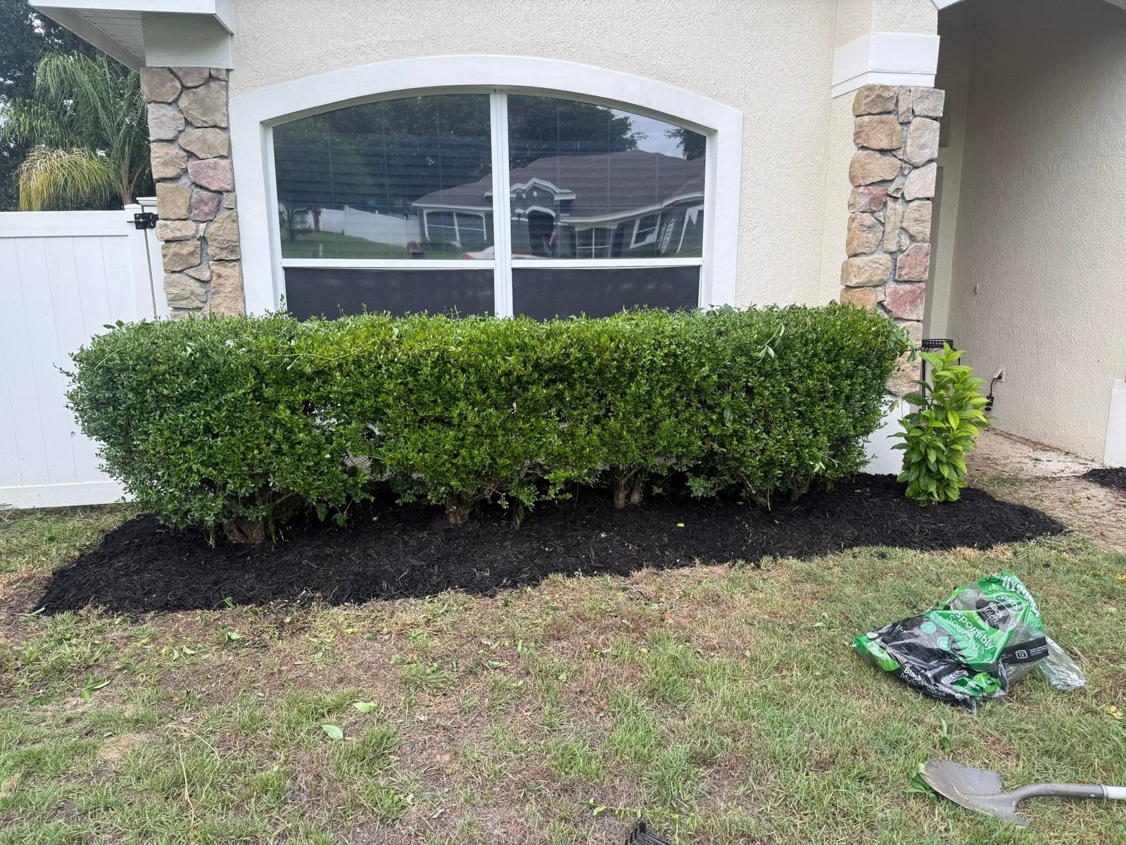 Freshly restored landscape bed with trimmed shrubs and clean edges at a home in Central Florida